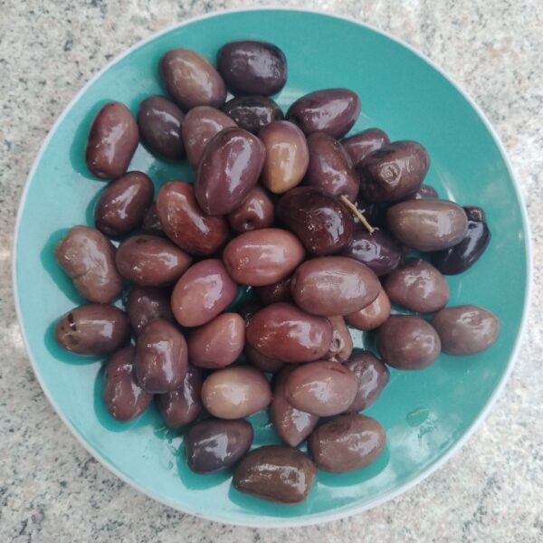 Aceitunas amargas (moradas)